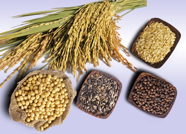 US becomes Vietnam's biggest consumer