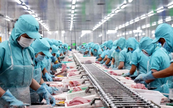Six more pangasius processing factories eligible to export to US