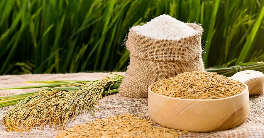 Xuất khẩu gạo tăng kỷ lục Xuất khẩu gạo tăng kỷ lục