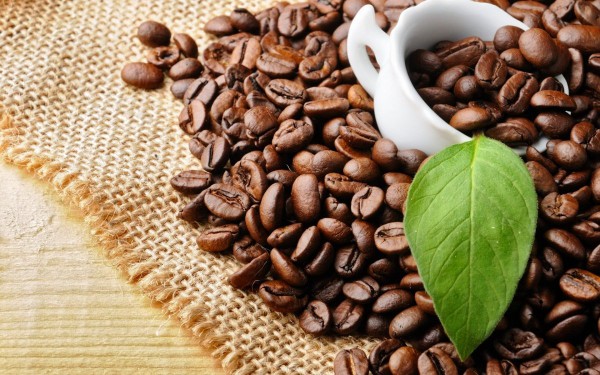 Vietnam remains the US’ third largest coffee supplier