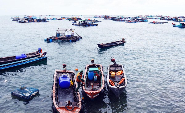 Việt Nam hướng tới xây dựng Nhóm đối tác Kinh tế biển xanh