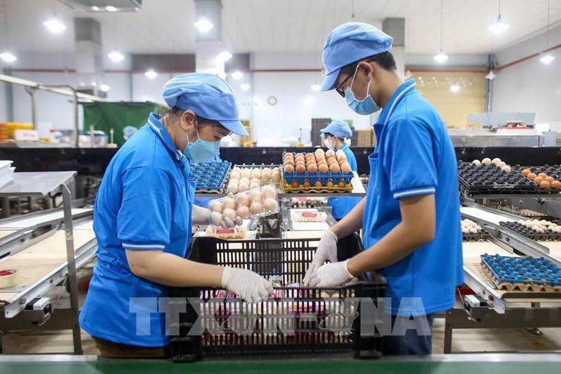 今年前10月越南全国CPI指数上涨3.27%