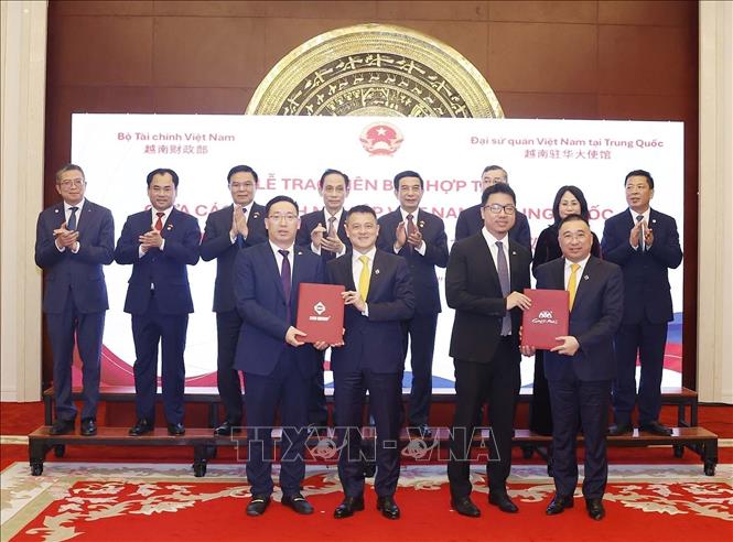 推动越中经济合作关系发展