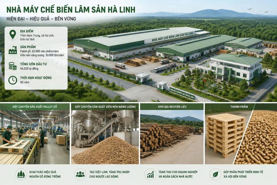 Hà Tĩnh có Dự án Nhà máy chế biến lâm sản vốn gần 55.000 tỷ đồng Hà Tĩnh có Dự án Nhà máy chế biến lâm sản vốn gần 55.000 tỷ đồng