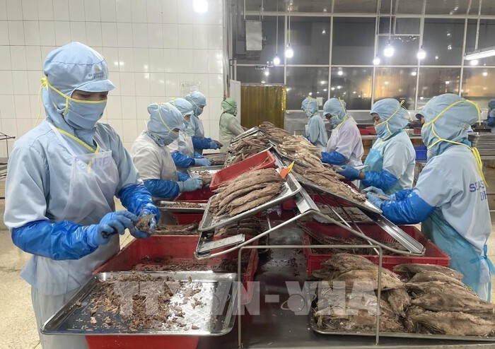 把握机遇 加快推动越南农产品对欧盟出口 把握机遇 加快推动越南农产品对欧盟出口