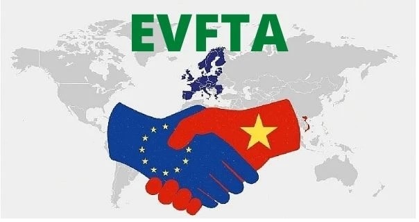 全方位做好做实各项准备 充分利用EVFTA协定带来的机遇