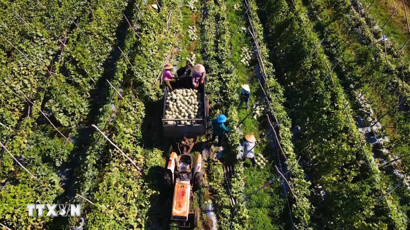 Thương mại Việt-Trung: Kết nối cung cầu, mở rộng các không gian hợp tác mới