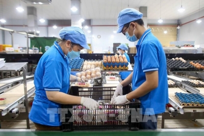 今年前10月越南全国CPI指数上涨3.27%