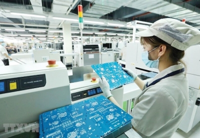 Chỉ định các cơ quan đầu mối triển khai 3 Hiệp định thương mại EVFTA, CPTPP và UKVFTA