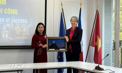 越南—阿根廷政府间委员会召开第八次会议 越南—阿根廷政府间委员会召开第八次会议