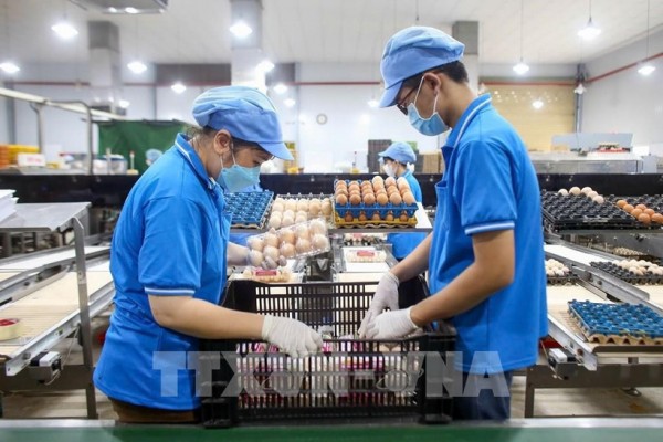 今年前10月越南全国CPI指数上涨3.27%