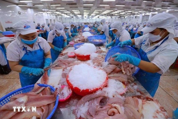 中国成为越南水产品最大进口国