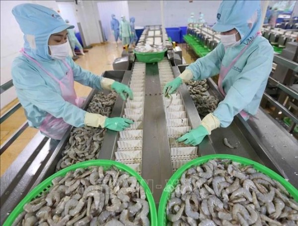 2024年7月越南水产品出口额创今年初以来新高