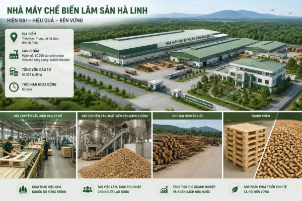 Hà Tĩnh có Dự án Nhà máy chế biến lâm sản vốn gần 55.000 tỷ đồng