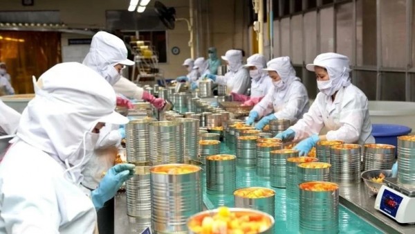 进军外国市场的“大门”敞开 蔬果出口将再创新高