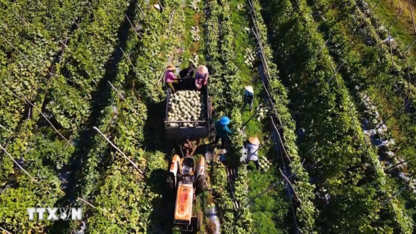 Thương mại Việt-Trung: Kết nối cung cầu, mở rộng các không gian hợp tác mới