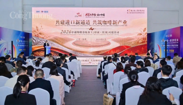 越南 - 中国推动跨境咖啡业供链对接