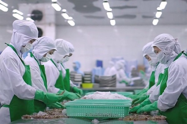 2025年农林水产品出口：克服挑战 挖掘增长潜力