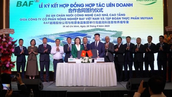 越中企业合作向越南南方市场供应160万头生猪