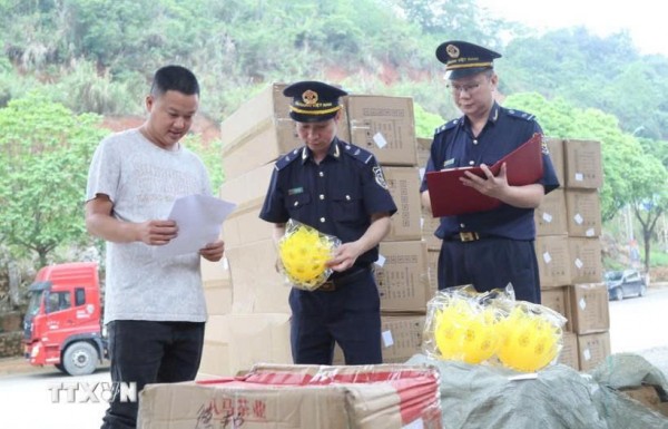 Thương mại xuyên biên giới thúc đẩy quan hệ Trung Quốc-Việt Nam