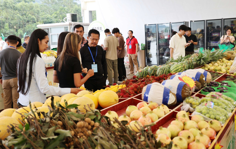 越南水果在中国市场广受欢迎 越南水果在中国市场广受欢迎