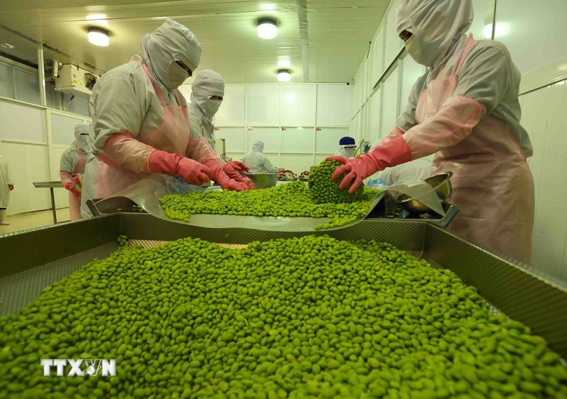 2025年前9个月越南果蔬出口额突破61.1亿美元