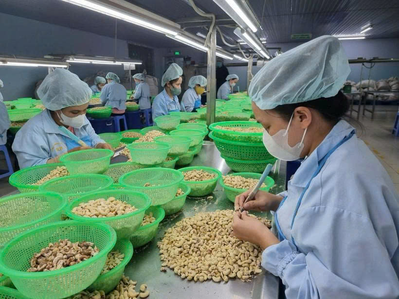 新胡志明市:迈向绿色与高科技工业 新胡志明市:迈向绿色与高科技工业